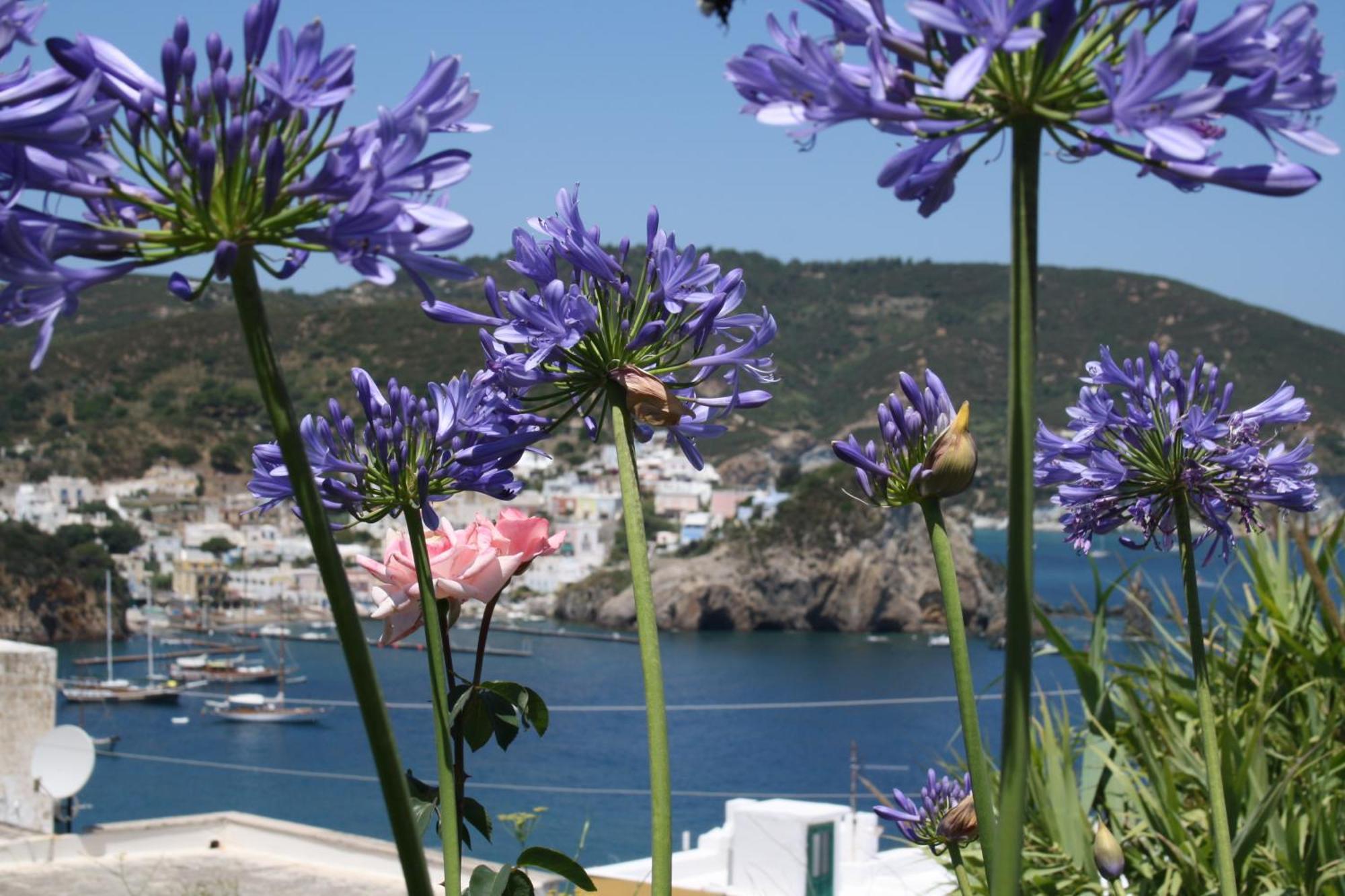 Villa Ersilia Ponza Exterior photo