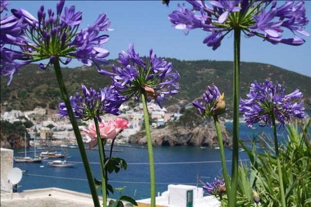 Villa Ersilia Ponza Exterior photo